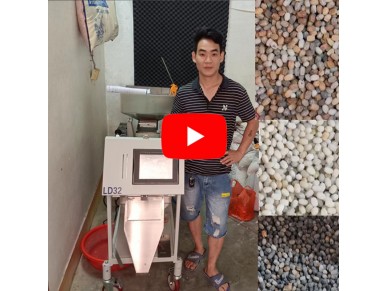 Agate Color Sorter Machine for LD32