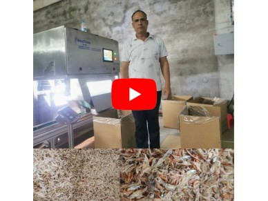 Dried Shrimp Color Sorter Machine for BL60